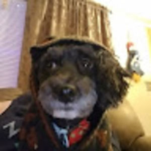 Meet your Posher, Brandy